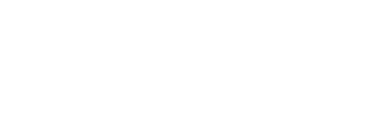 TMS Interior